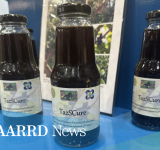 TazSCure: A natural, environment-friendly fungicide for vegetables